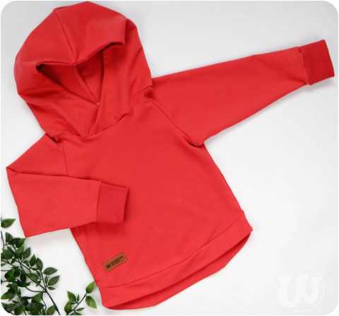 Bluza z kapturem różne kolory Bluza z kapturem różne kolory