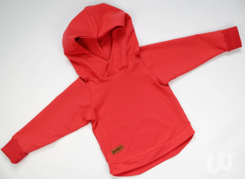 Bluza z kapturem różne kolory Bluza z kapturem różne kolory