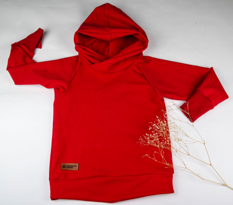 Bluza z kapturem różne kolory Bluza z kapturem różne kolory
