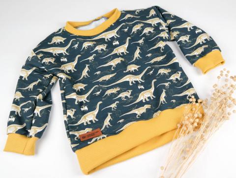 Bluza Dinozaury Bluza Dinozaury