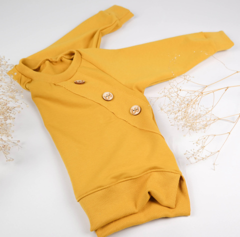 Bluza basic różne kolory Bluza basic różne kolory