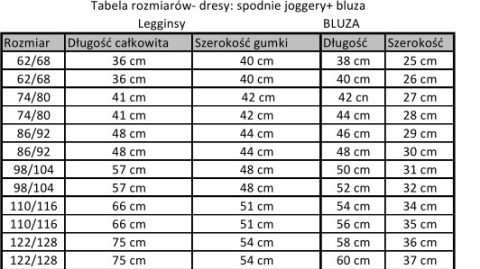 Dres dziewczęcy Jednorożce Dres dziewczęcy Jednorożce