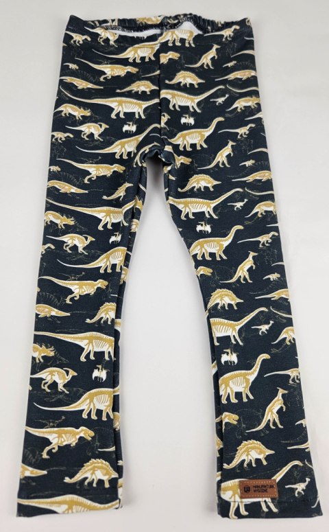 Legginsy dla chłopca Legginsy dla chłopca