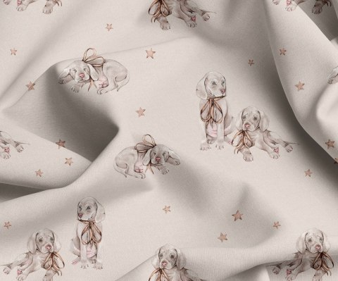 Legginsy dla chłopca Legginsy dla chłopca