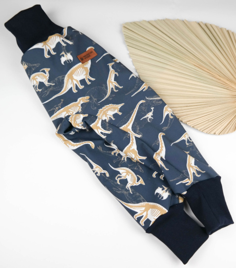 Spodnie softshell: Dino Spodnie softshell: Dino