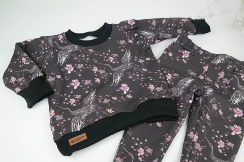 Dres dla dziewczynki: Żurawie