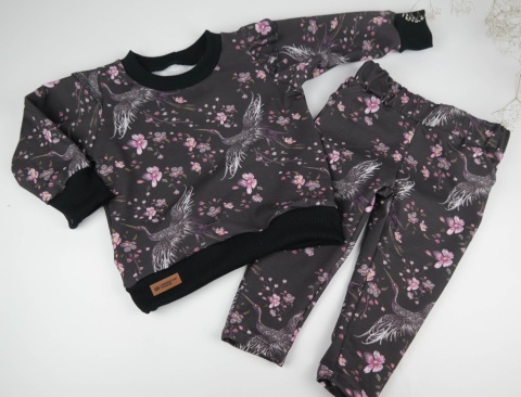 Dres dla dziewczynki: Żurawie rozmiar 92